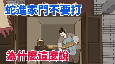 蛇進家門|「蛇進家門不能打」這是為什麼？快來看看，省得後悔